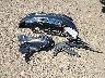 1C4RDJDGXFC****** Wrecked 2015 Dodge Durango in Texas State