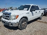 1FTEW1CM8EF****** Used and Repairable 2014 Ford F-150 in Lubbock