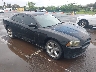 2B3CL1CT5BH****** Salvage and Wrecked 2011 Dodge Charger Police in Honolulu