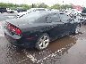 2B3CL1CT5BH****** Salvage and Wrecked 2011 Dodge Charger Police in Hawaii State