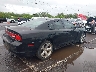 2B3CL1CT5BH****** Salvage and Repairable 2011 Dodge Charger Police in Hawaii State
