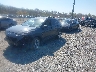 KM8K6CAB1NU****** Used and Repairable 2022 Hyundai Kona in Elkton