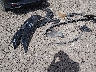 KMHLS4AG9PU****** Repairable 2023 Hyundai Elantra