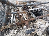 4UF15MPV6FT****** Salvage 2015 Arctic Cat 951cc in Wichita