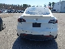 7SAYGDEE5PF****** Wrecked 2023 Tesla Model Y