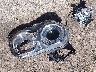 2C3CDZKG8PH****** Wrecked 2023 Dodge Challenger in Colorado State