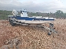 00000VXS532****** Salvamento y Destrozados 2021 Vexus Vexus Avx 2100 en Abilene