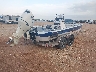 00000VXS532****** Salvamento y Destrozados 2021 Vexus Vexus Avx 2100 en Estado de Texas