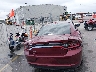 2C3CDXBGXPH****** Wrecked 2023 Dodge Charger