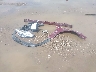 KMHGC4DD8CU****** Wrecked 2012 Hyundai Genesis in Texas State