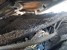 WAUC4CF50RA****** Repairable 2024 Audi S5 in Longview