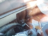 5YJ3E1EB4NF****** Wrecked 2022 Tesla Model 3