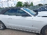 1ZVBP8EM7E5****** Reparables 2014 Ford Mustang en Estado de Texas