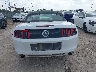 1ZVBP8EM7E5****** Usados 2014 Ford Mustang
