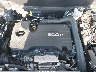 3GKALTEVXLL****** Reparables 2020 GMC Terrain en Englishtown