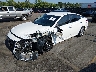 1N4BL4BV3RN****** Used and Repairable 2024 Nissan Altima in Lexington