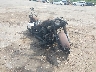 1HD1BWV15DB****** Salvage and Wrecked 2013 Harley-Davidson FLSTC in Jackson