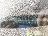 1N4BL4CV2NN****** Used 2022 Nissan Altima in Atlanta North