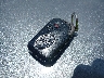 JTHBK262882****** Salvage 2008 Lexus IS in Hawaii State