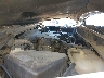 1GTU9FEL5MZ****** Reparables 2021 GMC Sierra 1500 en Burlington