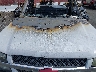 1GCEC14T94Z****** Reparables 2004 Chevrolet Silverado 1500 en East Bay