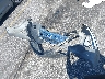 3FADP4BJXCM****** Wrecked 2012 Ford Fiesta in South Carolina State