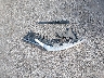 3FA6P0K97HR****** Wrecked 2017 Ford Fusion in Kansas State