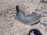3GCPKSE70CG****** Wrecked 2012 Chevrolet Silverado 1500 in Arizona State