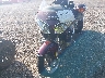 1HFSC47H96A****** Used and Repairable 2006 Honda Gold Wing in Tennessee State