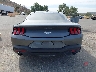 1FA6P8THXR5****** Used 2024 Ford Mustang