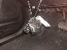 2T3RFREV6JW****** Salvage 2018 Toyota RAV4 in Mississippi State