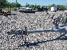 8ME42021E****** Reparables 2000 Magic Tilt en Jacksonville