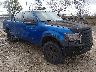 1FTFW1EV9AF****** Salvamento y Destrozados 2010 Ford F-150 en Chicago South
