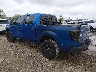 1FTFW1EV9AF****** Salvamento y Reparables 2010 Ford F-150 en Chicago South