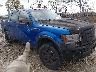 1FTFW1EV9AF****** Salvamento y Reparables 2010 Ford F-150 en Estado de Illinois