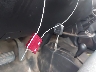 1GB3KYCY5JF****** Salvage 2018 Chevrolet Silverado 3500 HD in Texas State