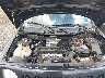 1J4NF1GB3BD****** Reparables 2011 Jeep Patriot en Long Island