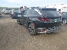3KMJB3DE1SE****** Salvamento y Reparables 2025 Hyundai Tucson en Metro DC
