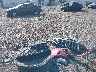 4T1BF1FK1HU****** Wrecked 2017 Toyota Camry in Louisiana State