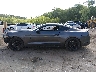 1FA6P8TH6F5****** Salvamento 2015 Ford Mustang