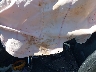 1GNSKBKC9JR****** Wrecked 2018 Chevrolet Tahoe in Oklahoma State
