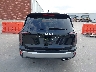 5XYP54GC4PG****** Wrecked 2023 Kia Telluride