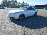 19UUA86239A****** Used and Repairable 2009 Acura TL in Monticello