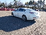 19UUA86239A****** Salvage and Repairable 2009 Acura TL in Monticello