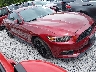 1FA6P8TH5F5****** Salvage and Wrecked 2015 Ford Mustang in Fayetteville