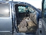 5N1AR18W25C****** Used and Repairable 2005 Nissan Pathfinder in Washington State