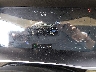 5YJSA1H10EF****** Salvage 2014 Tesla Model S in New Orleans East