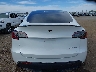 7SAYGDEF5PF****** Destrozados 2023 Tesla Model Y