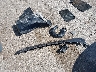 3KPF24AD0ME****** Wrecked 2021 Kia Forte in Illinois State