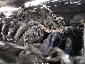 5XXGN4A76FG****** Repairable 2015 Kia Optima in Nashville